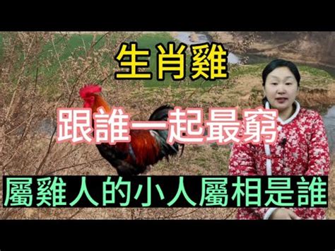 屬雞適合住幾樓|生肖屬雞適合什麼方位的房子 